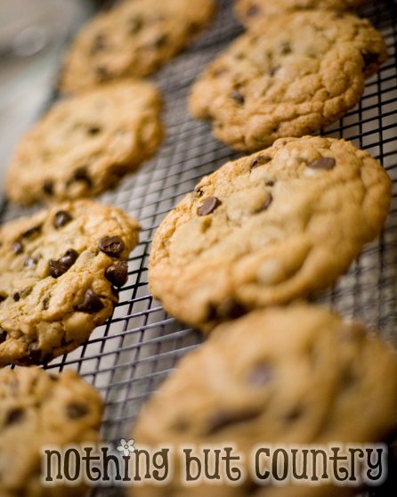 I made the cookie recipe the wedding website suggested