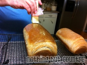 bread