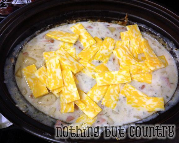 Creamy Ham & Potato Soup in Crock Pot