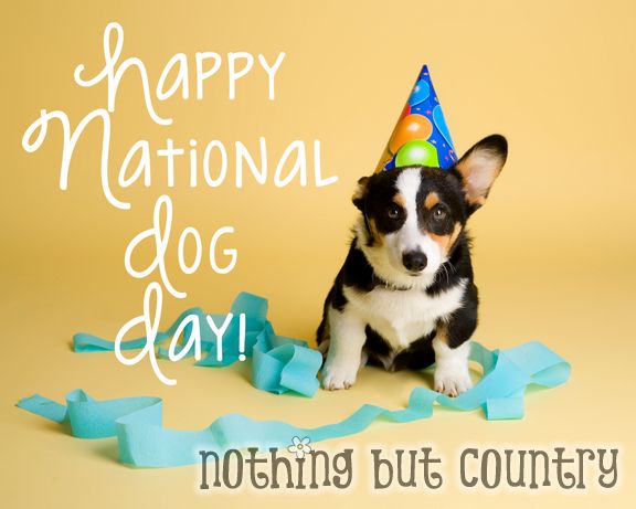 Happy National Dog Day | NothingButCountry.com