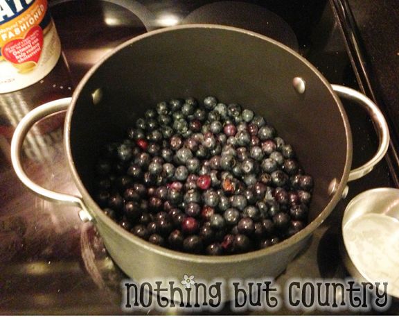 Homemade Blueberry Crumble | NothingButCountry.com