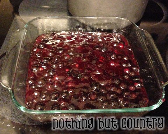 Homemade Blueberry Crumble | NothingButCountry.com