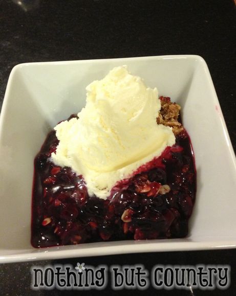 Homemade Blueberry Crumble | NothingButCountry.com