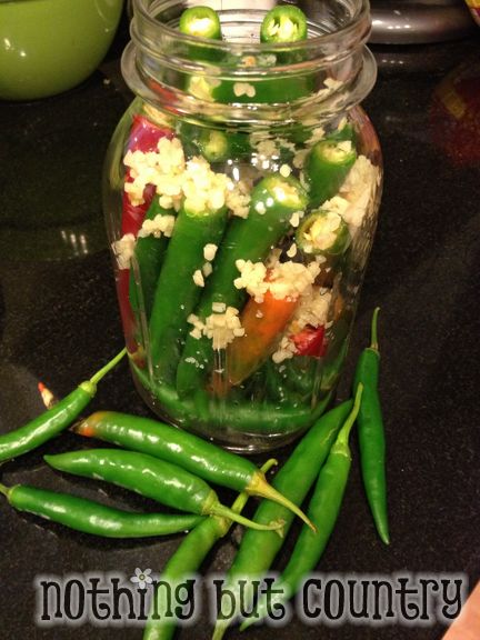 Hot Pepper Sauce / Pepper Vinegar | NothingButCountry.com