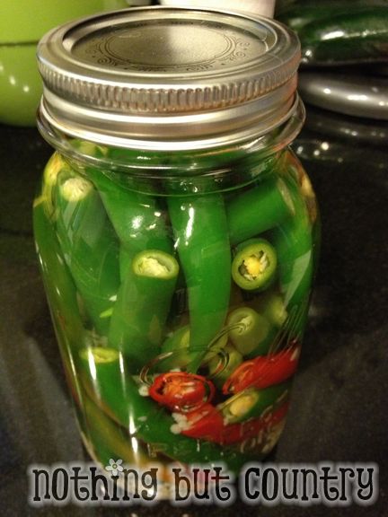 Hot Pepper Sauce / Pepper Vinegar | NothingButCountry.com