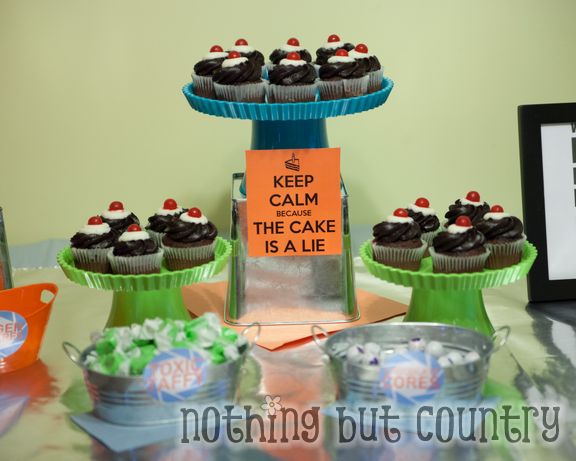 Teen Birthday Party - Portal 2 Theme | NothingButCountry.com