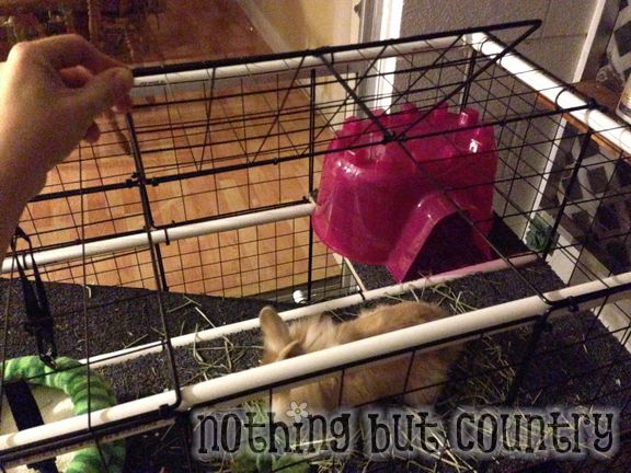 DIY Rabbit / Bunny Cage for cheap