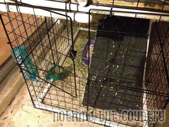 DIY Rabbit / Bunny Cage for cheap