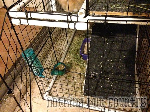 DIY Rabbit / Bunny Cage for cheap