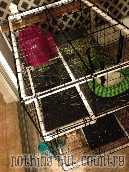 DIY Rabbit / Bunny Cage for cheap