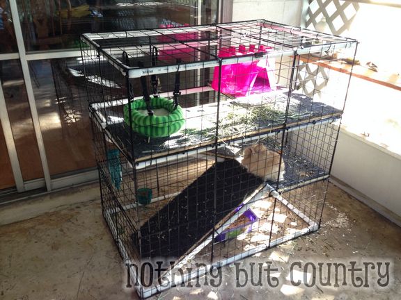 DIY Rabbit / Bunny Cage for cheap