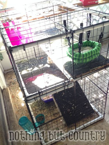 DIY Rabbit / Bunny Cage for cheap