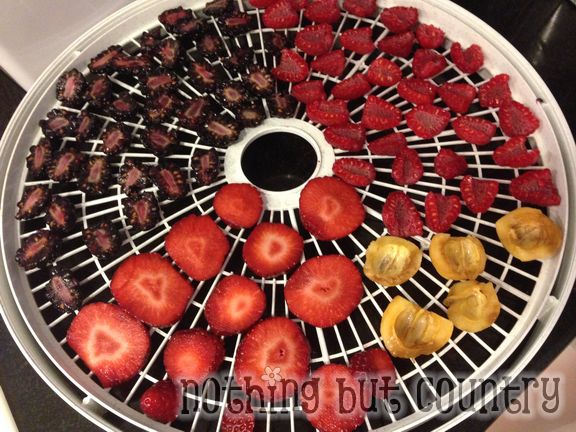 Loving our dehydrator - yummy snacks and seasonings