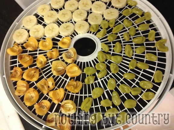 Loving our dehydrator - yummy snacks and seasonings