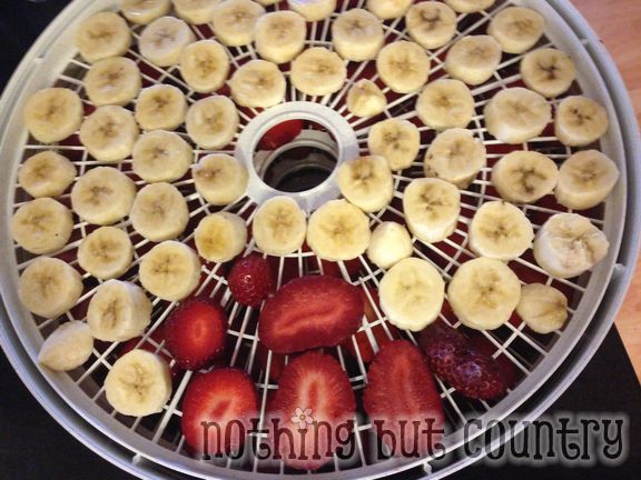 Loving our dehydrator - yummy snacks and seasonings