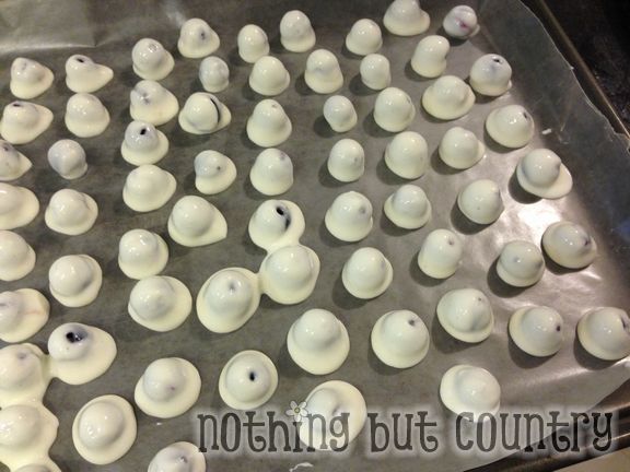 Frozen Greek Yogurt Blueberry Bites | NothingButCountry.com