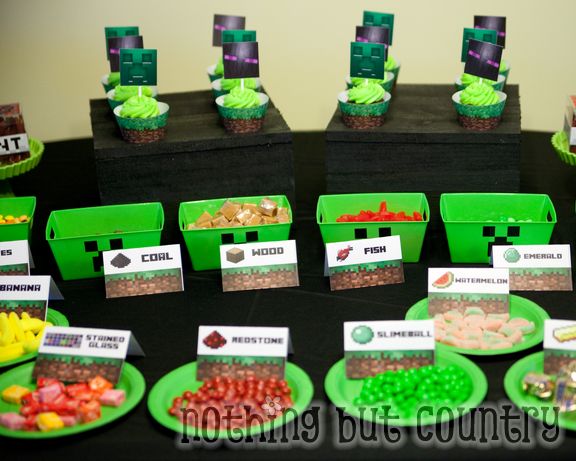 Minecraft Birthday Party | NothingButCountry.com