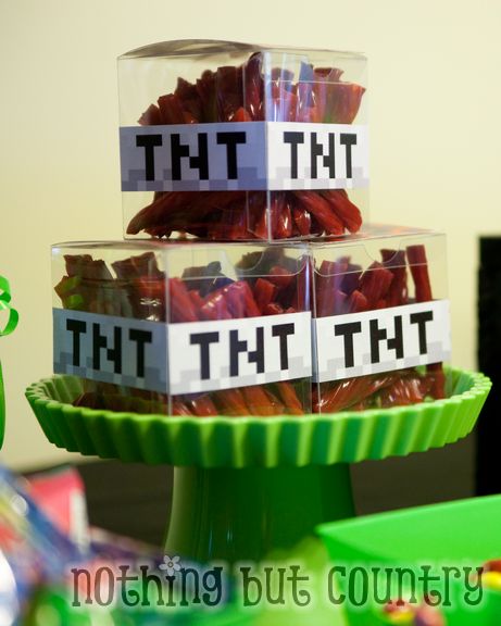 Minecraft Birthday Party | NothingButCountry.com