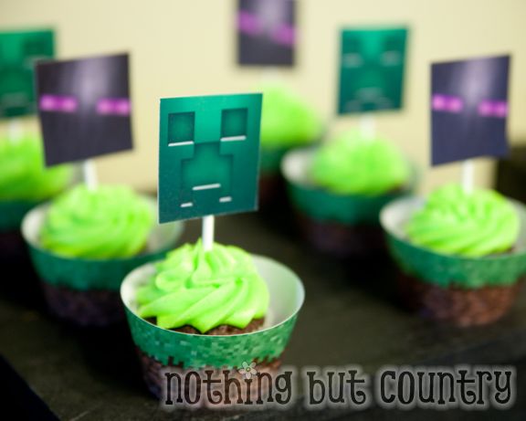 Minecraft Birthday Party | NothingButCountry.com