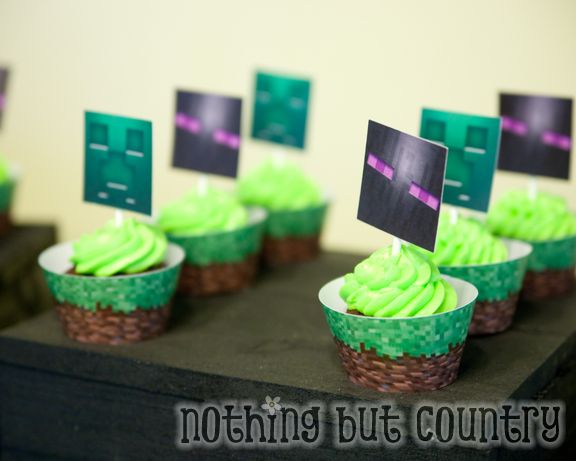Minecraft Birthday Party | NothingButCountry.com