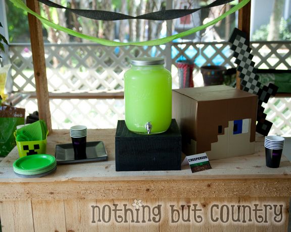 Minecraft Birthday Party | NothingButCountry.com