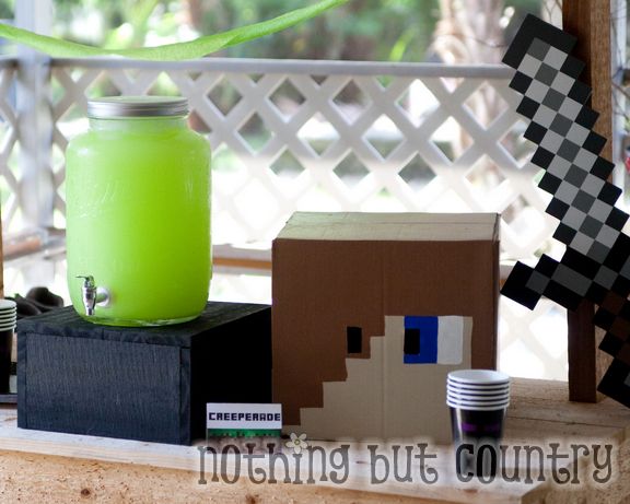 Minecraft Birthday Party | NothingButCountry.com