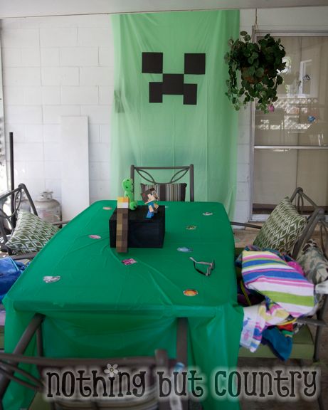 Minecraft Birthday Party | NothingButCountry.com