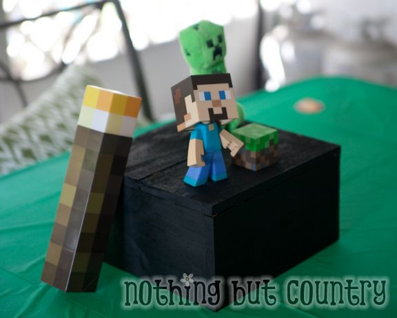 Minecraft Birthday Party | NothingButCountry.com