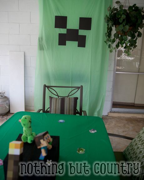 Minecraft Birthday Party | NothingButCountry.com