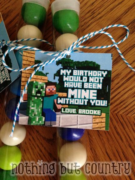 Minecraft Birthday Party | NothingButCountry.com