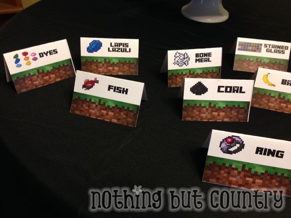 Minecraft Birthday Party | NothingButCountry.com