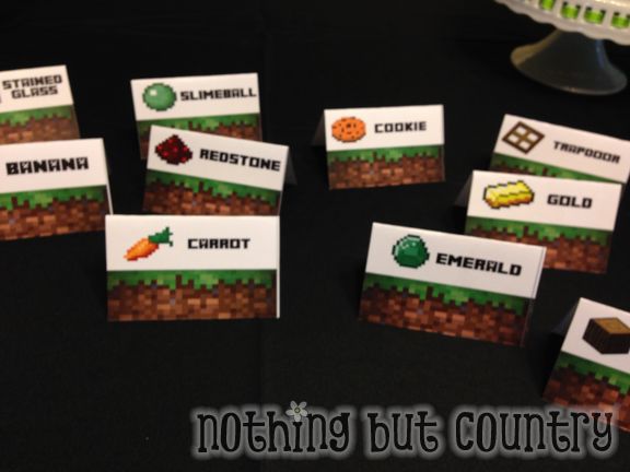 Minecraft Birthday Party | NothingButCountry.com