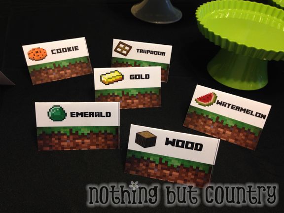 Minecraft Birthday Party | NothingButCountry.com