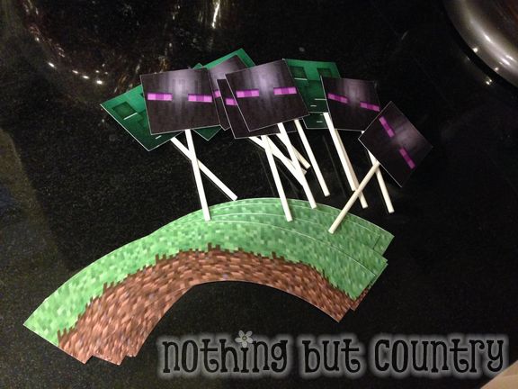 Minecraft Birthday Party | NothingButCountry.com