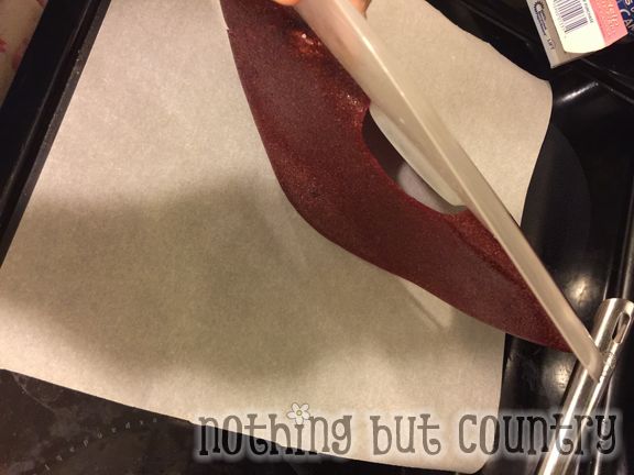 Homemade Fruit Leather - Fruit Roll Up