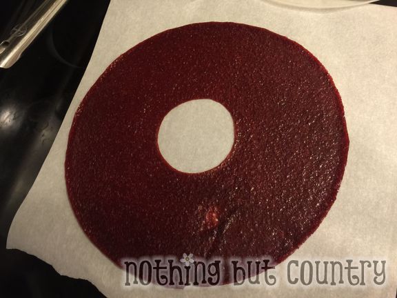 Homemade Fruit Leather - Fruit Roll Up