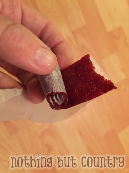 Homemade Fruit Leather - Fruit Roll Up