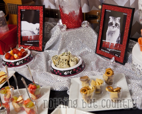 Taylor Swift Birthday Party (including her cats Meredith Grey & Olivia Benson) | NothingButCountry.com