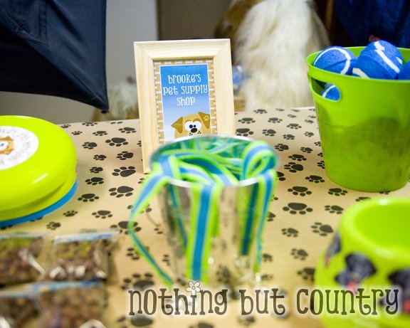 Puppy Birthday Party – Part 2 (Puppy Stations) | Nothing But Country