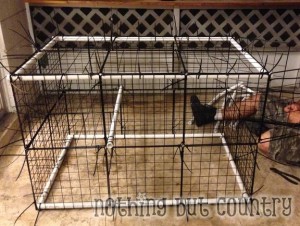 DIY Rabbit / Bunny Cage for cheap | Nothing But Country